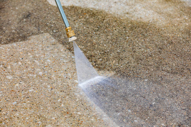 Best Animal Enclosure Cleaning  in Lexington, MN