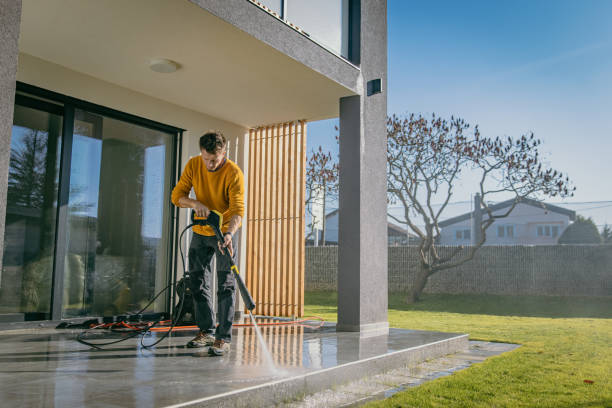 Best Roof Washing  in Lexington, MN